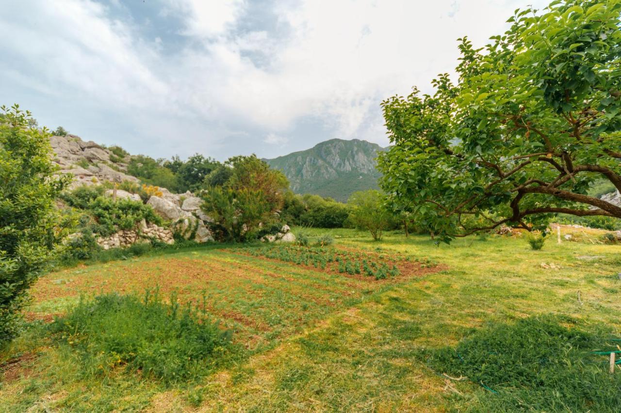 Apartments Econature Virpazar Dış mekan fotoğraf